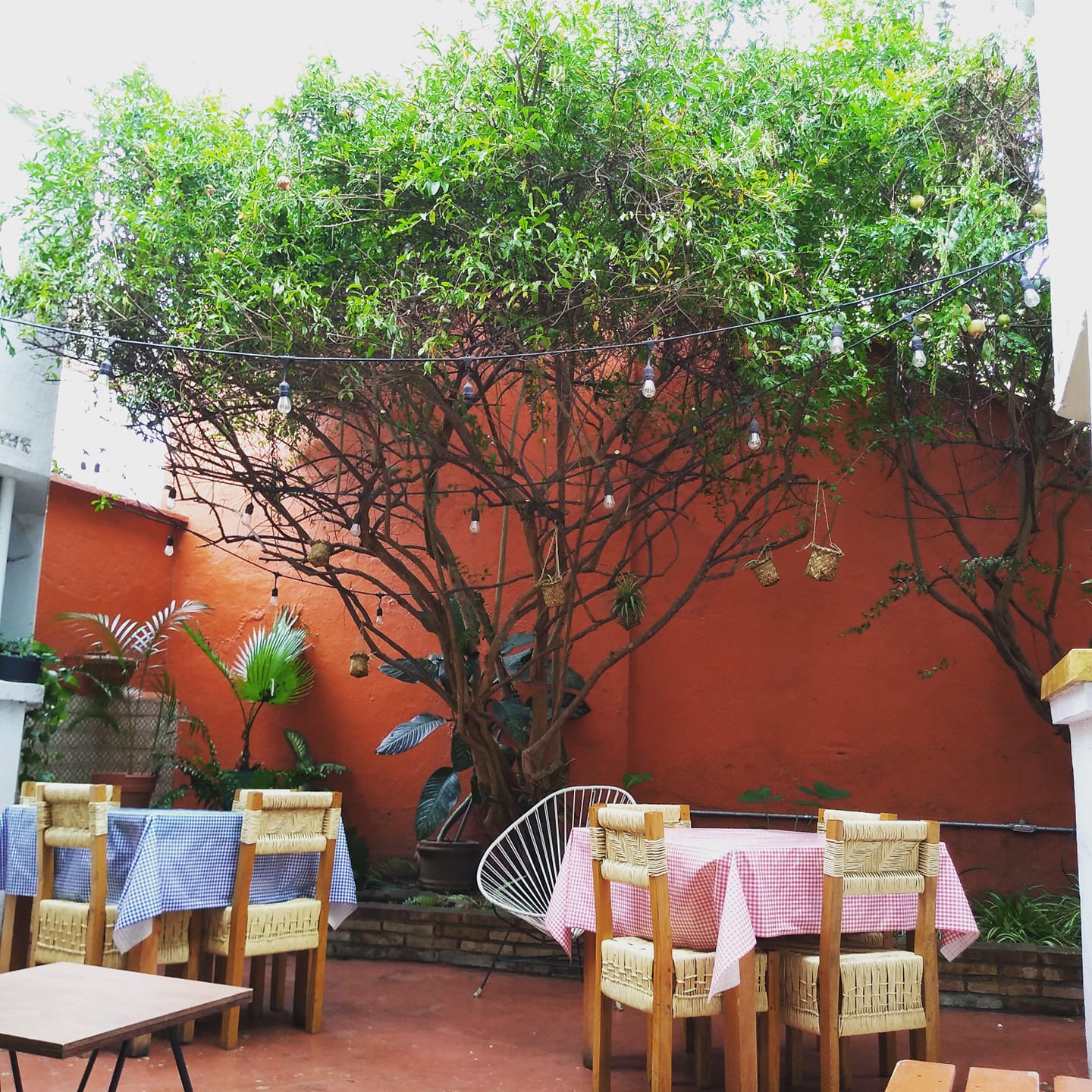 restaurants in oaxaca, best restaurants in oaxaca, where to eat in Oaxaca, Oaxaca food, best restaurants in Oaxaca, Oaxaca restaurants, best Oaxaca restaurants, Cabuche