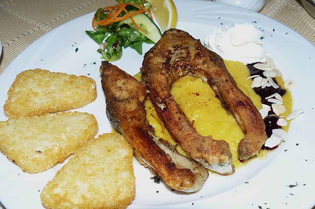 Polish Food, Traditional Polish Food, traditional food in Poland, Poland food, Polish cuisine, Poland dishes, Polish dishes, fried carp