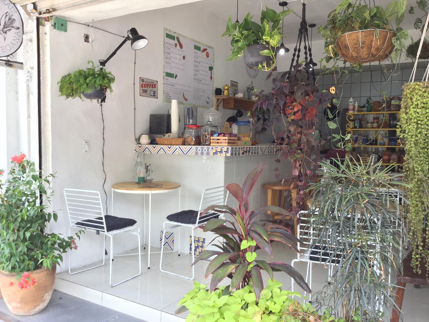 vegan restaurants in guadalajara, vegetarian restaurants in guadalajara, vegan in guadalajara, vegetarian in Guadalajara, restaurants in guadalajara, choclo y maiz