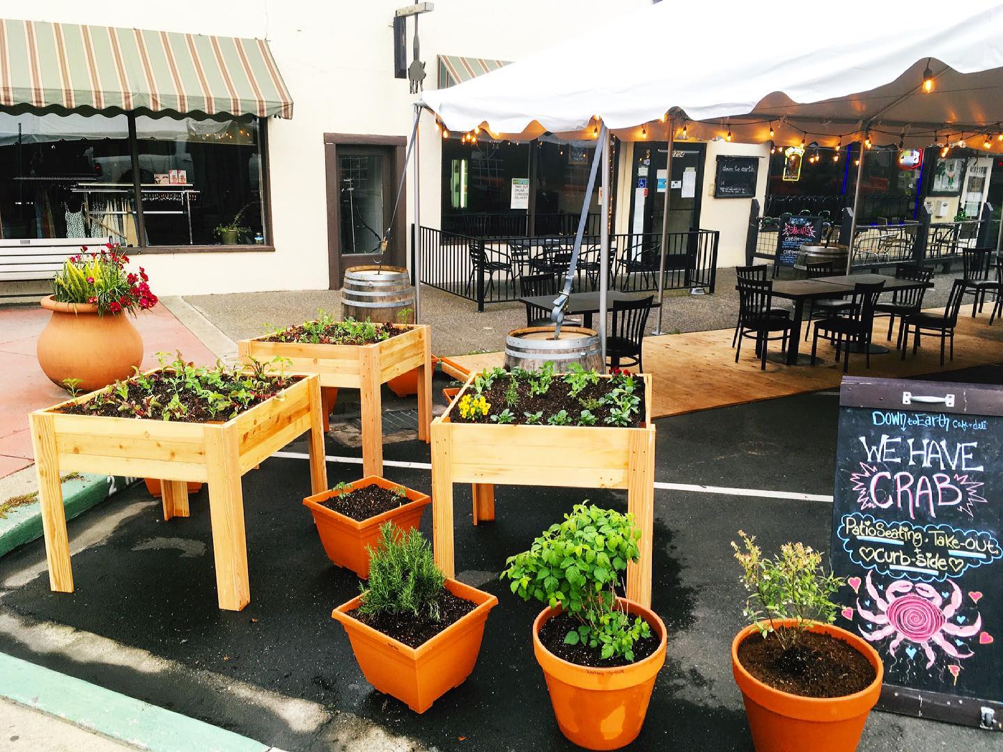 vegan restaurants in Maui, vegetarian restaurants in Maui, vegan in Maui, vegetarian in Maui, down to earth cafe and deli