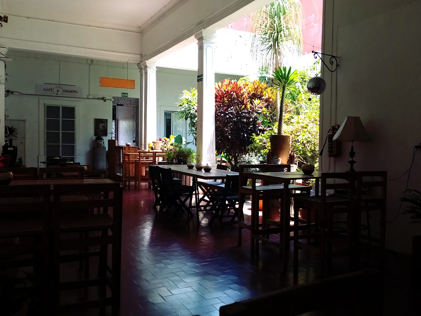 vegan restaurants in guadalajara, vegetarian restaurants in guadalajara, vegan in guadalajara, vegetarian in Guadalajara, restaurants in guadalajara, Edén