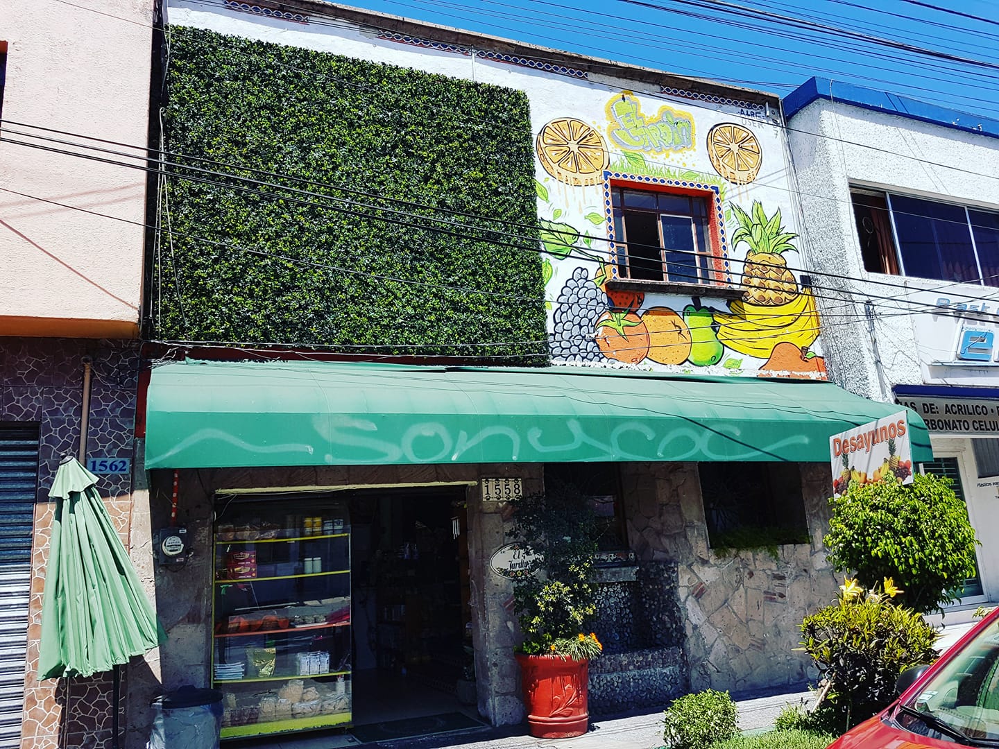 vegan restaurants in guadalajara, vegetarian restaurants in guadalajara, vegan in guadalajara, vegetarian in Guadalajara, restaurants in guadalajara, el jardin