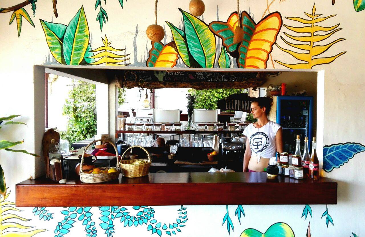 Oaxaca restaurants, best Oaxaca restaurants, vegan restaurants in Oaxaca, vegetarian restaurants in Oaxaca, vegan in Oaxaca, vegetarian in Oaxaca, elephant garden