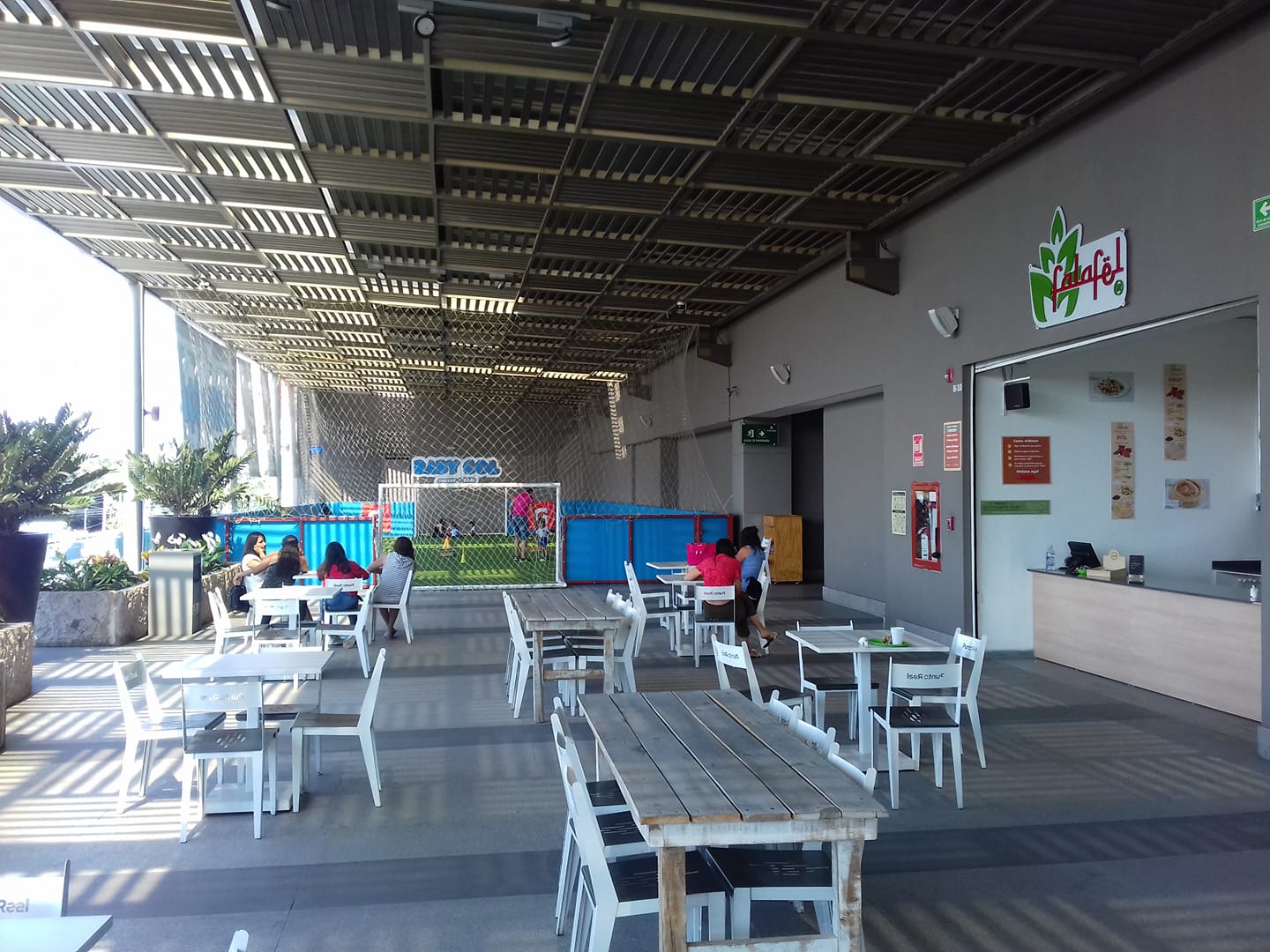 vegan restaurants in guadalajara, vegetarian restaurants in guadalajara, vegan in guadalajara, vegetarian in Guadalajara, restaurants in guadalajara, falafel