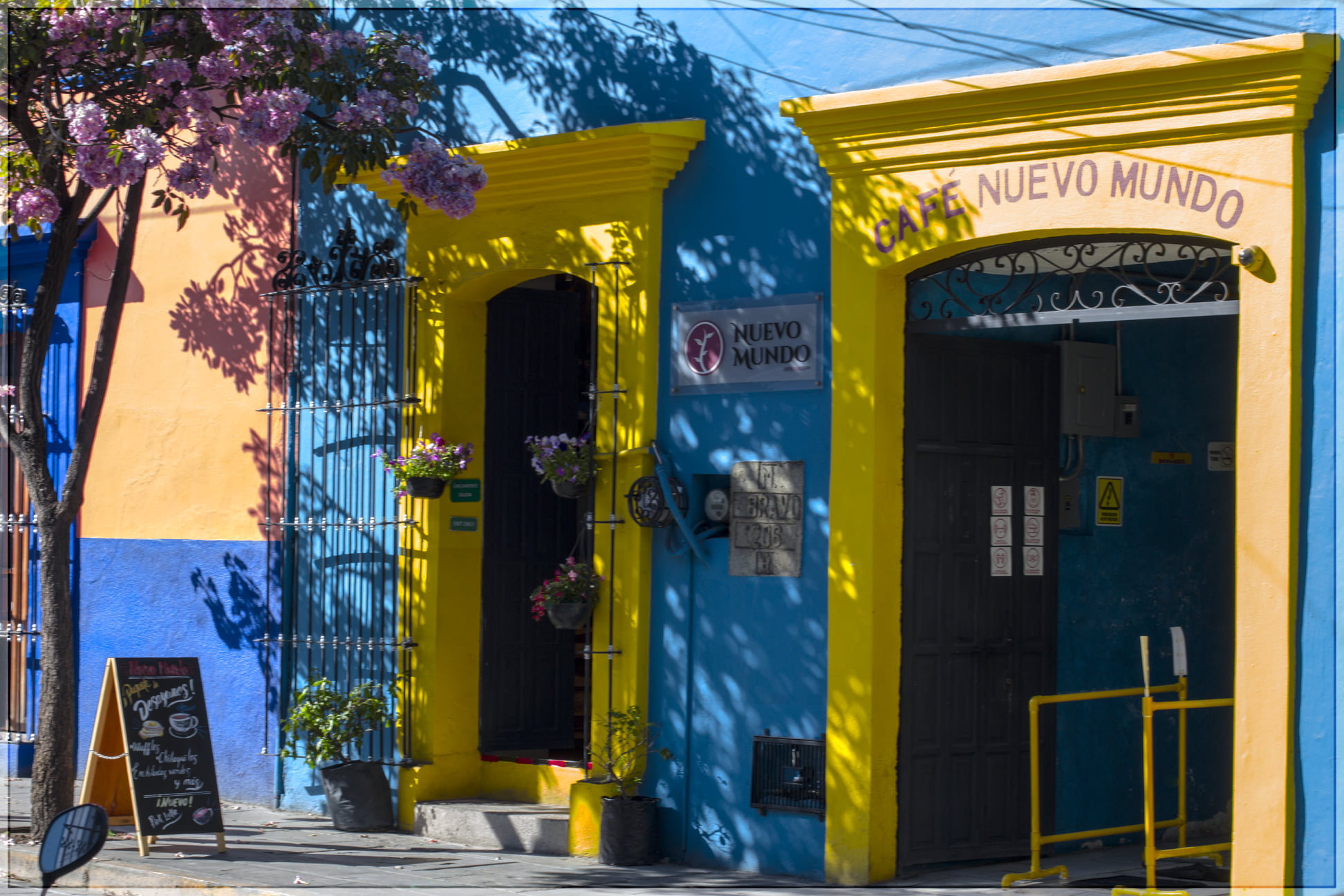 restaurants in oaxaca, best restaurants in oaxaca, where to eat in Oaxaca, Oaxaca food, best restaurants in Oaxaca, Oaxaca restaurants, best Oaxaca restaurants, nuevo mundo coffee roaster