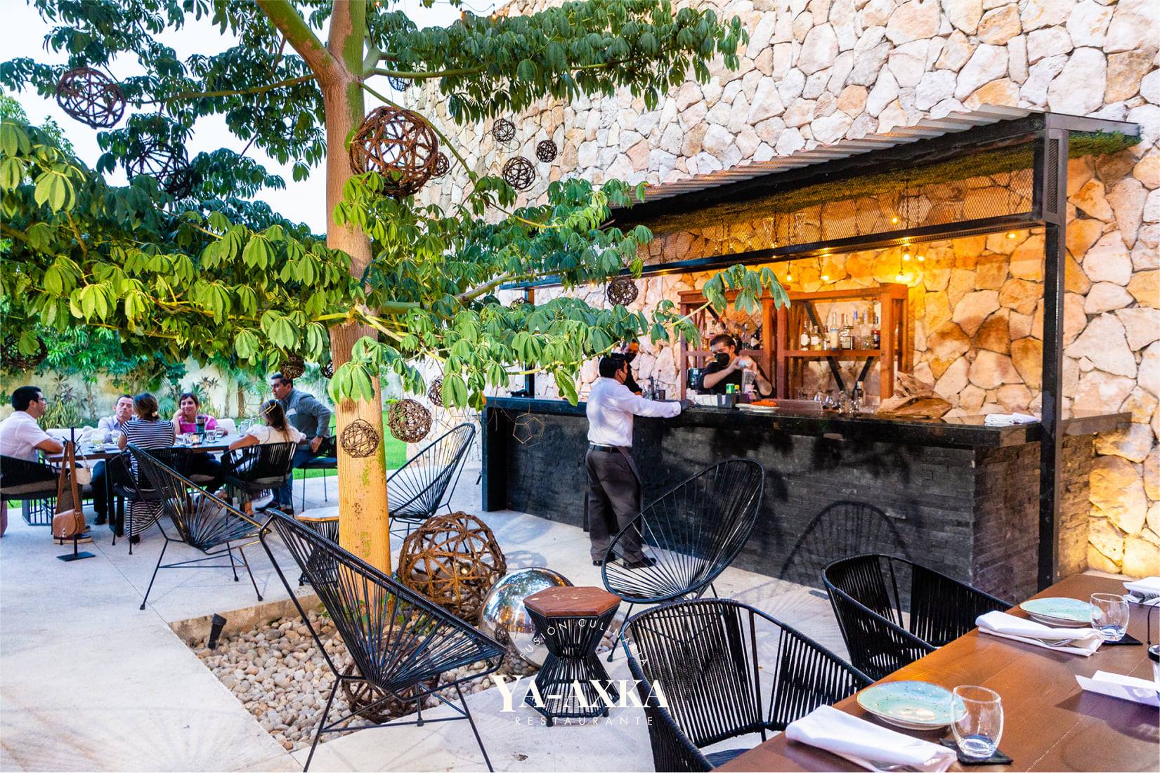 restaurants in merida, best restaurants in merida mexico, merida food, restaurants in merida mexico, merida restaurant, where to eat in merida, merida restaurants, best merida restaurants, Ya-axka Restaurante