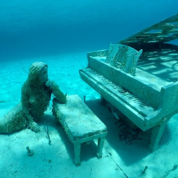 The Musician in the Bahamas