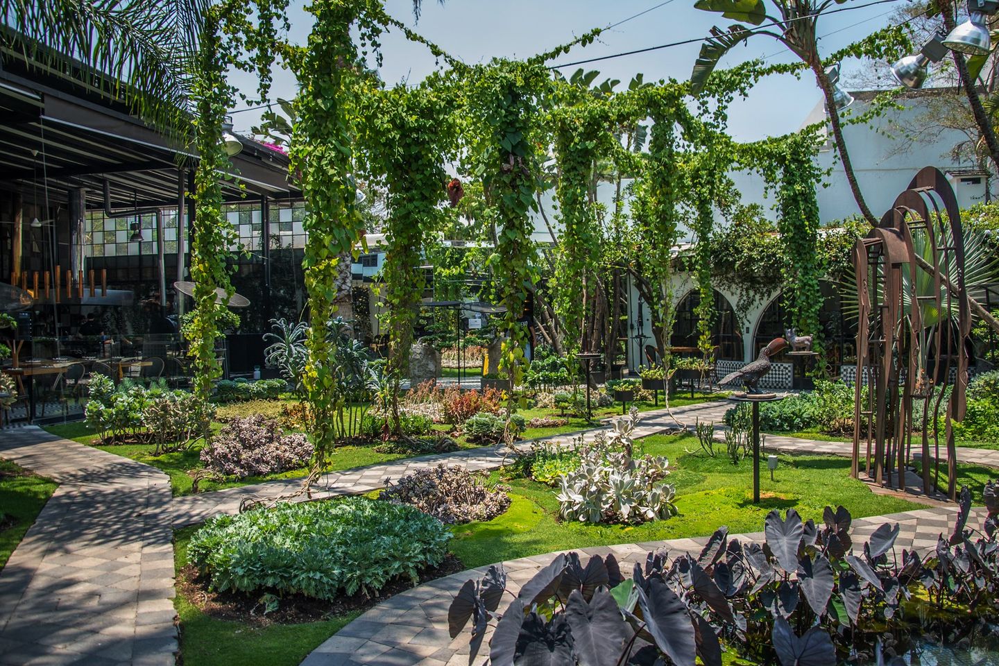 Restaurants in guadalajara, best restaurants in guadalajara, guadalajara food, restaurants in guadalajara mexico, guadalajara restaurants, where to eat in guadalajara, bruna