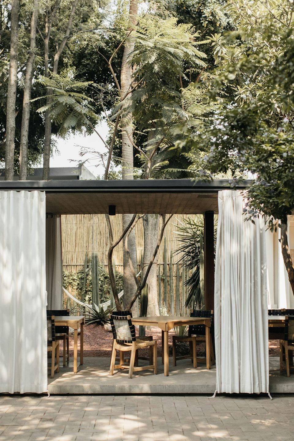 restaurants in oaxaca, best restaurants in oaxaca, where to eat in Oaxaca, Oaxaca food, best restaurants in Oaxaca, Oaxaca restaurants, best Oaxaca restaurants, criollo