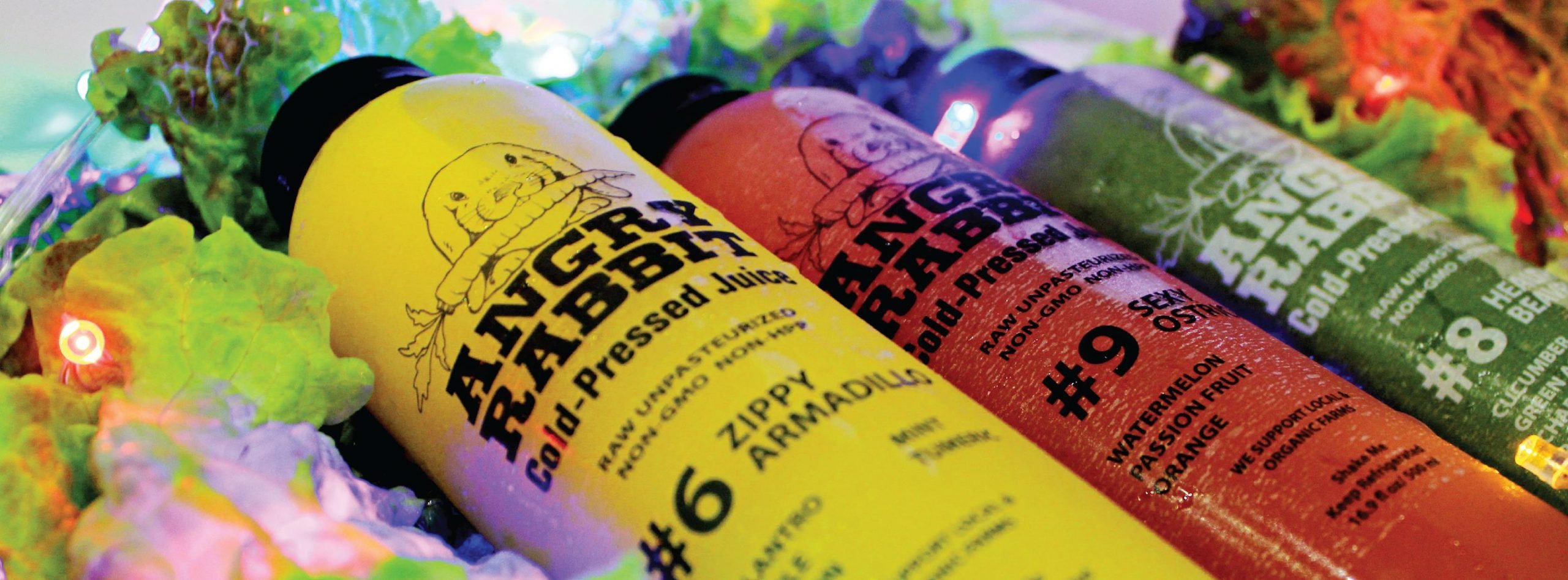 vegan restaurants in Panama City, vegetarian restaurants in Panama City, vegan in Panama City, vegetarian in Panama City, angry rabbit juice, panama city food,