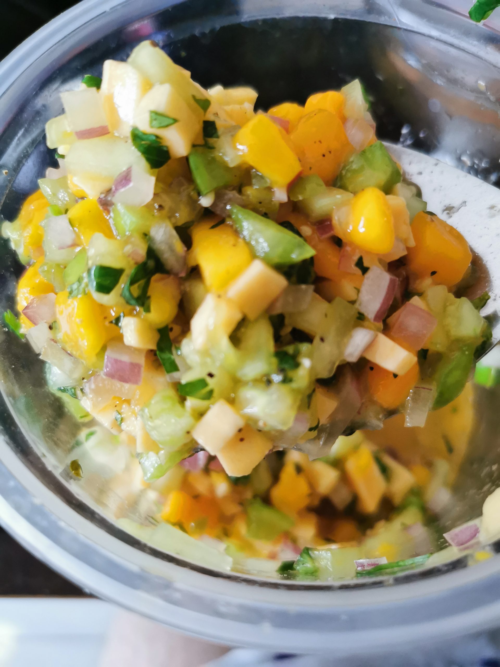 Ceviche de Mango vegan Peruvian dishes, Ceviche de Mango plant-based Peruvian dishes, Ceviche de Mango vegetarian Peruvian dishes, vegetarian food in Peru, vegan food in Peru, Peruvian vegetarian dishes, vegan in Peru, vegetarian in Peru

