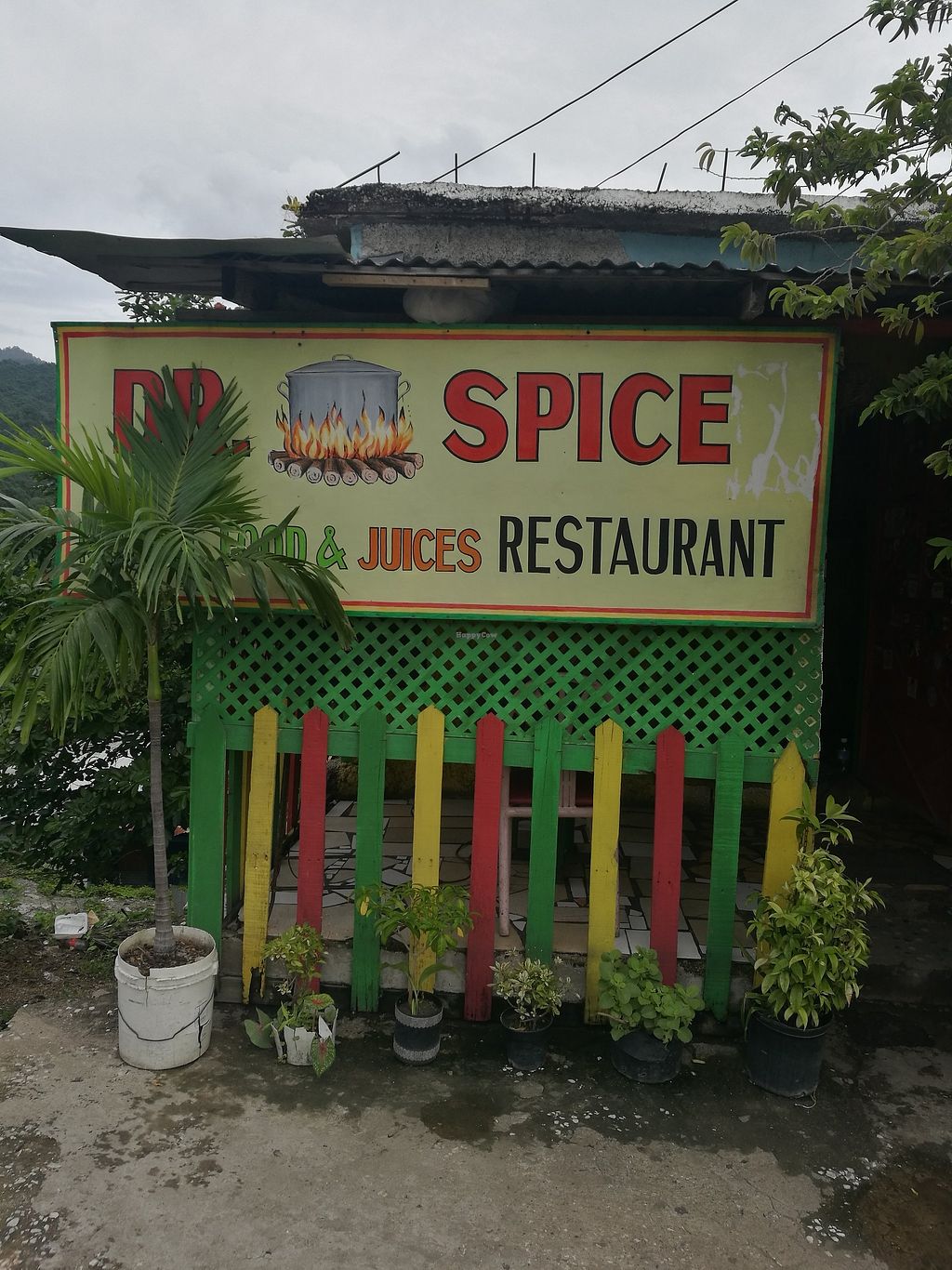 vegan restaurants in Kingston, vegetarian restaurants in Kingston, vegan in Kingston, vegetarian in Kingston, dr. spice vegetarian