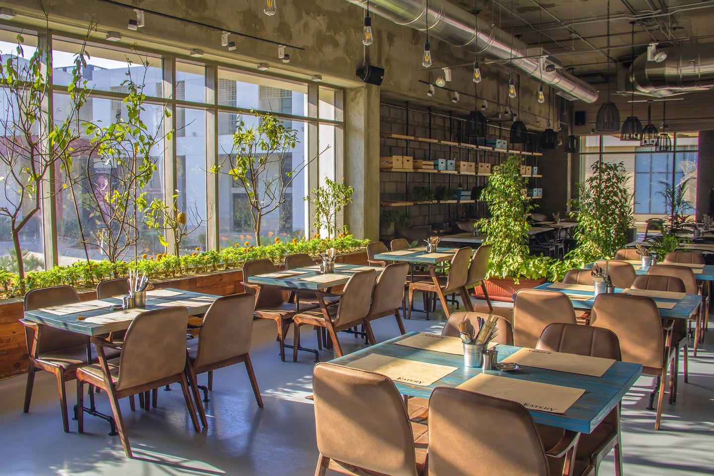 Restaurants in Cairo, best restaurants in Cairo, where to eat in Cairo, restaurants Cairo, Cairo food, best Cairo restaurants, vegan restaurants in Cairo, vegetarian restaurants in Cairo, vegan in Cairo, vegetarian in Cairo,