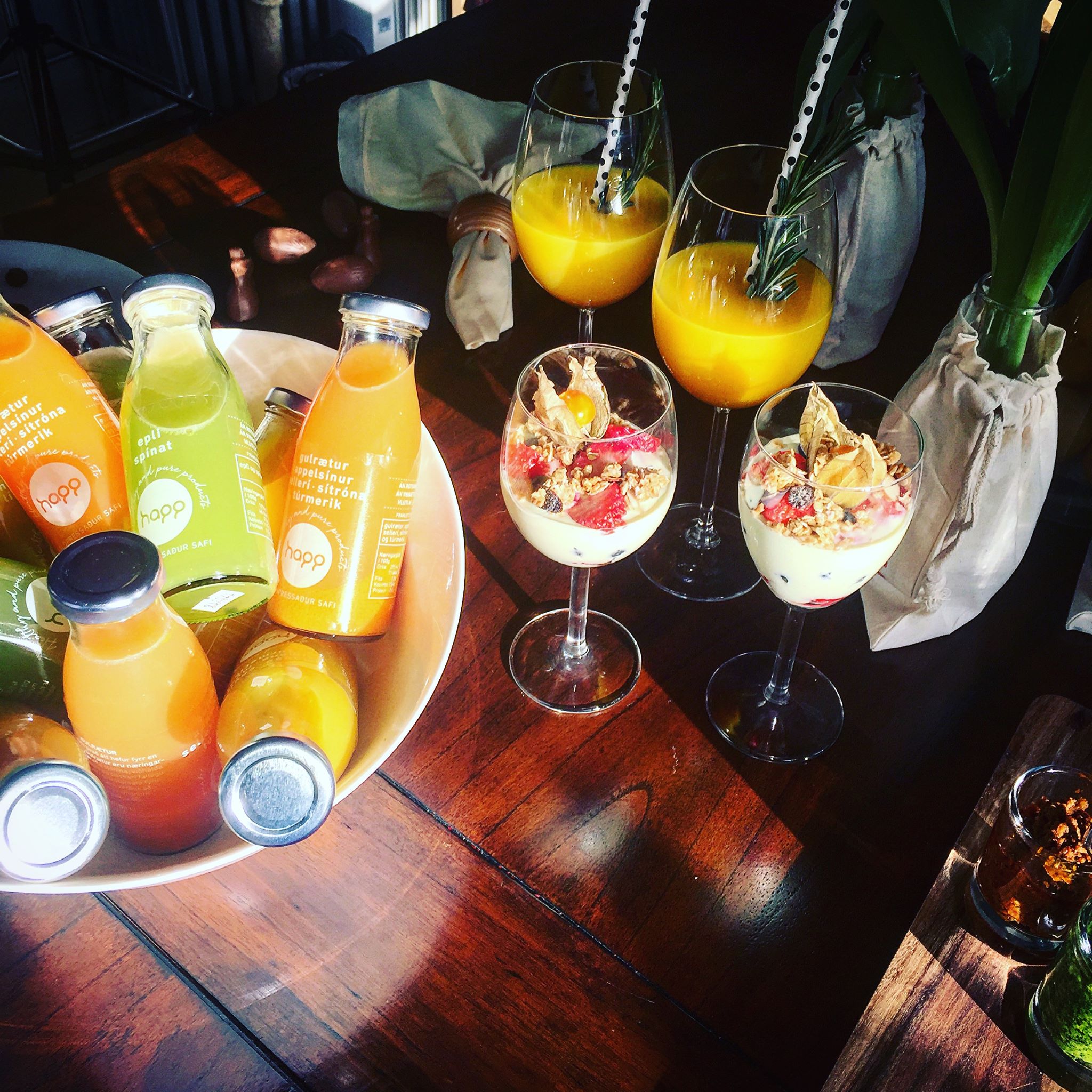 vegan restaurants in Reykjavik, vegetarian restaurants in Reykjavik, vegan in Reykjavik, vegetarian in Reykjavik, happ