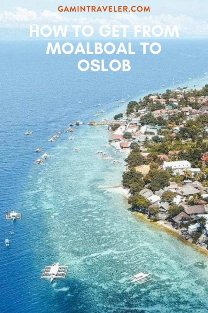 How to get from Moalboal to Oslob