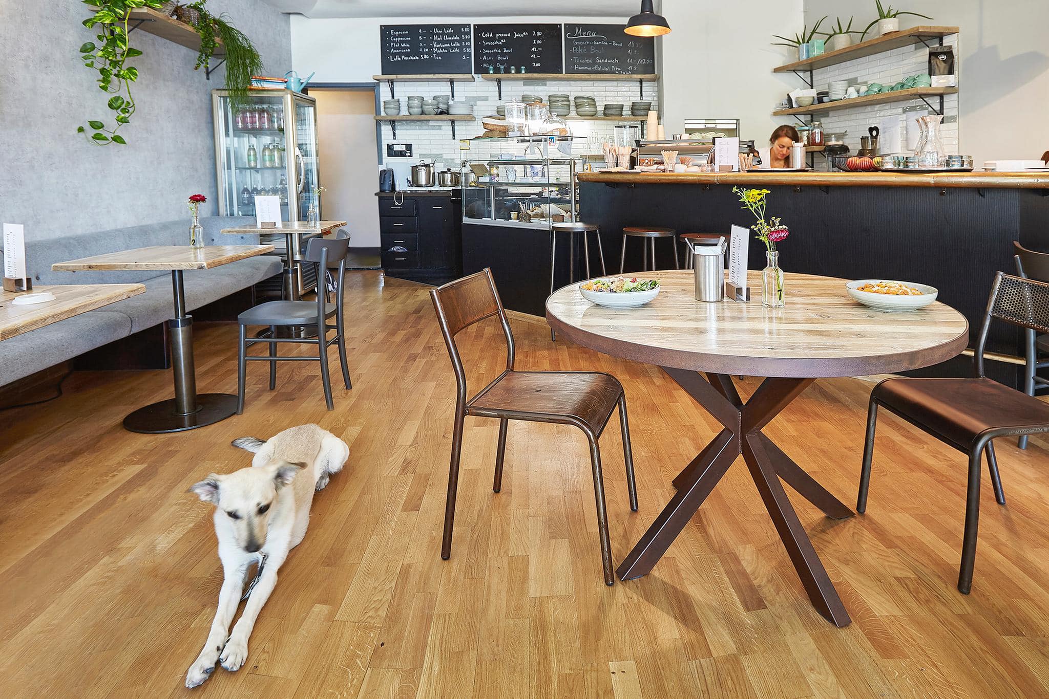 vegan restaurants in Zurich, vegetarian restaurants in Zurich, vegan in Zurich, vegetarian in Zurich, klara's kitchen