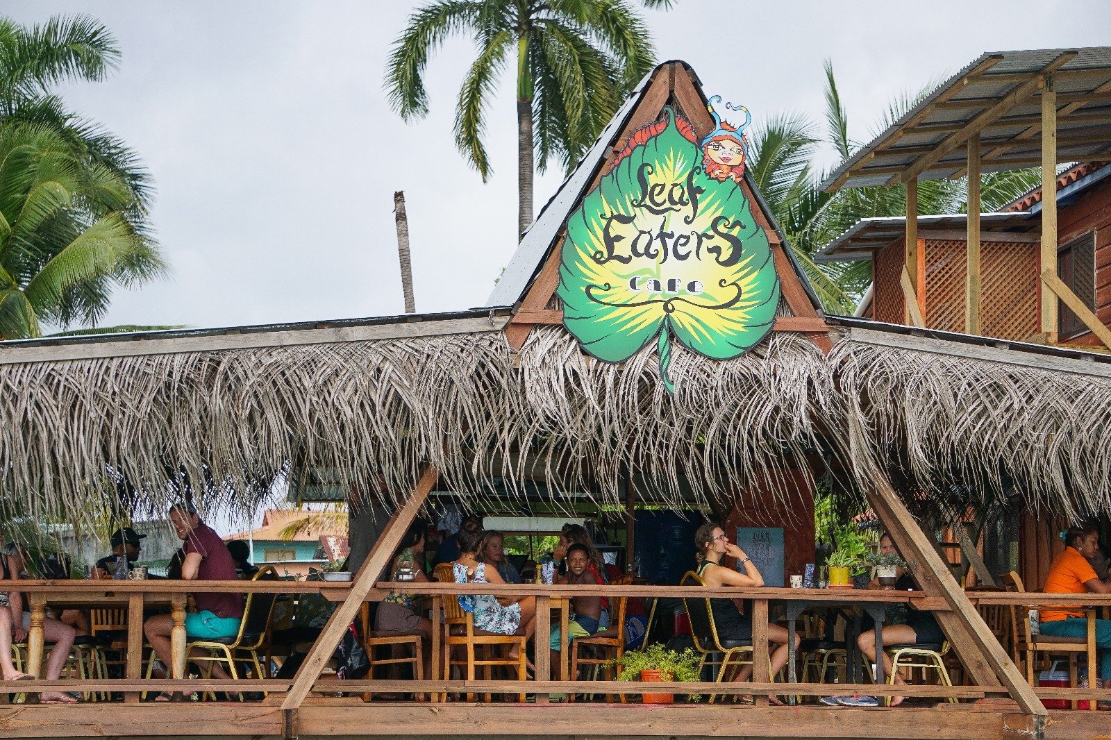 vegan restaurants in Panama City, vegetarian restaurants in Panama City, vegan in Panama City, vegetarian in Panama City, leaf eaters cafe