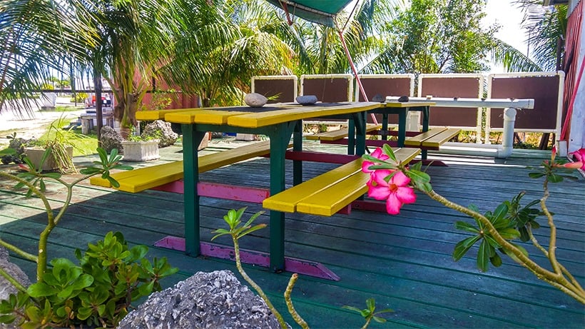 vegan restaurants in bridgetown, vegetarian restaurants in bridgetown, vegan in bridgetown, vegetarian in bridgetown, lion share cafe