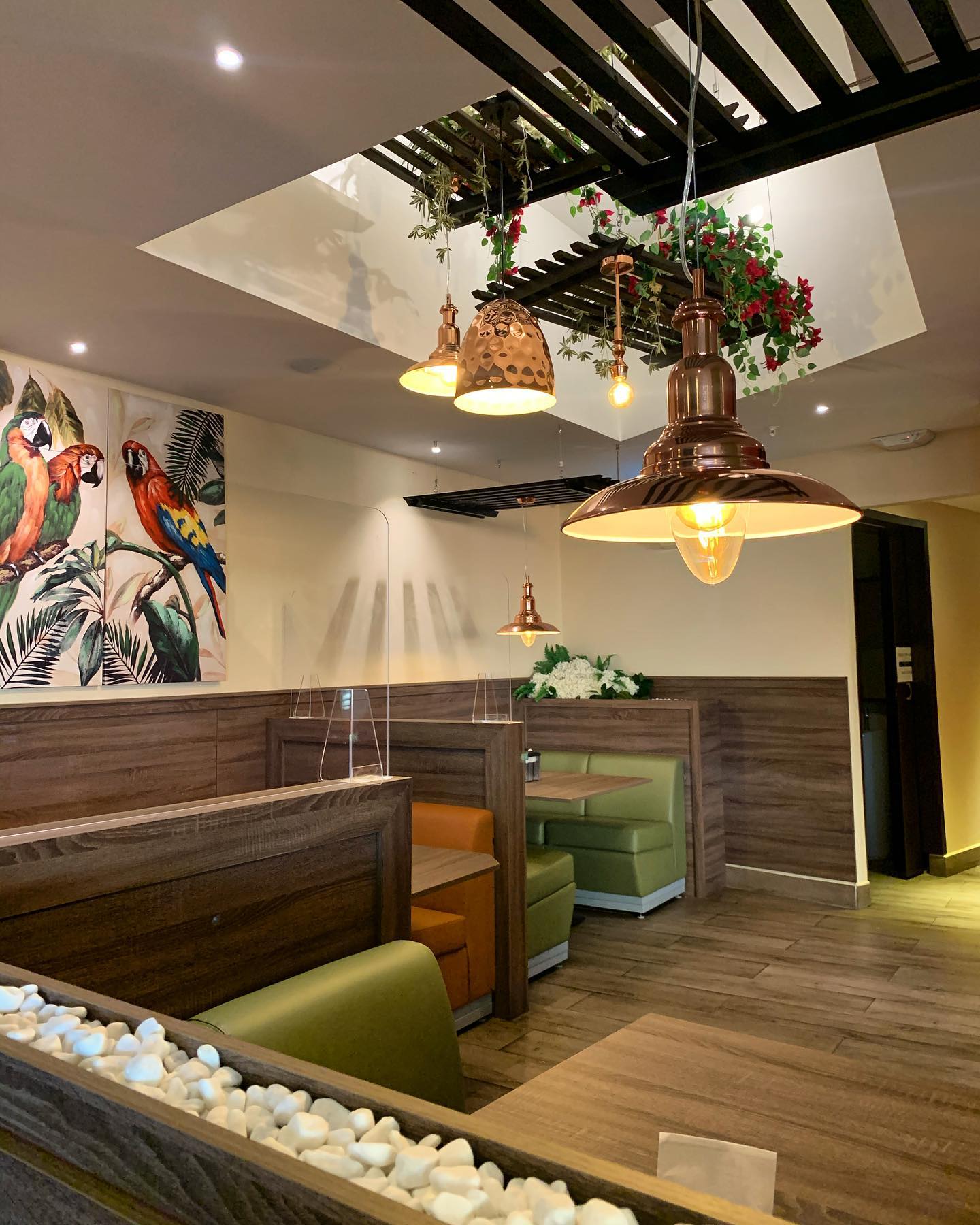 Restaurants in Panama City, best restaurants in Panama City, where to eat in Panama City, restaurants Panama City, Panama City food, best Panama City restaurants, mi ranchito