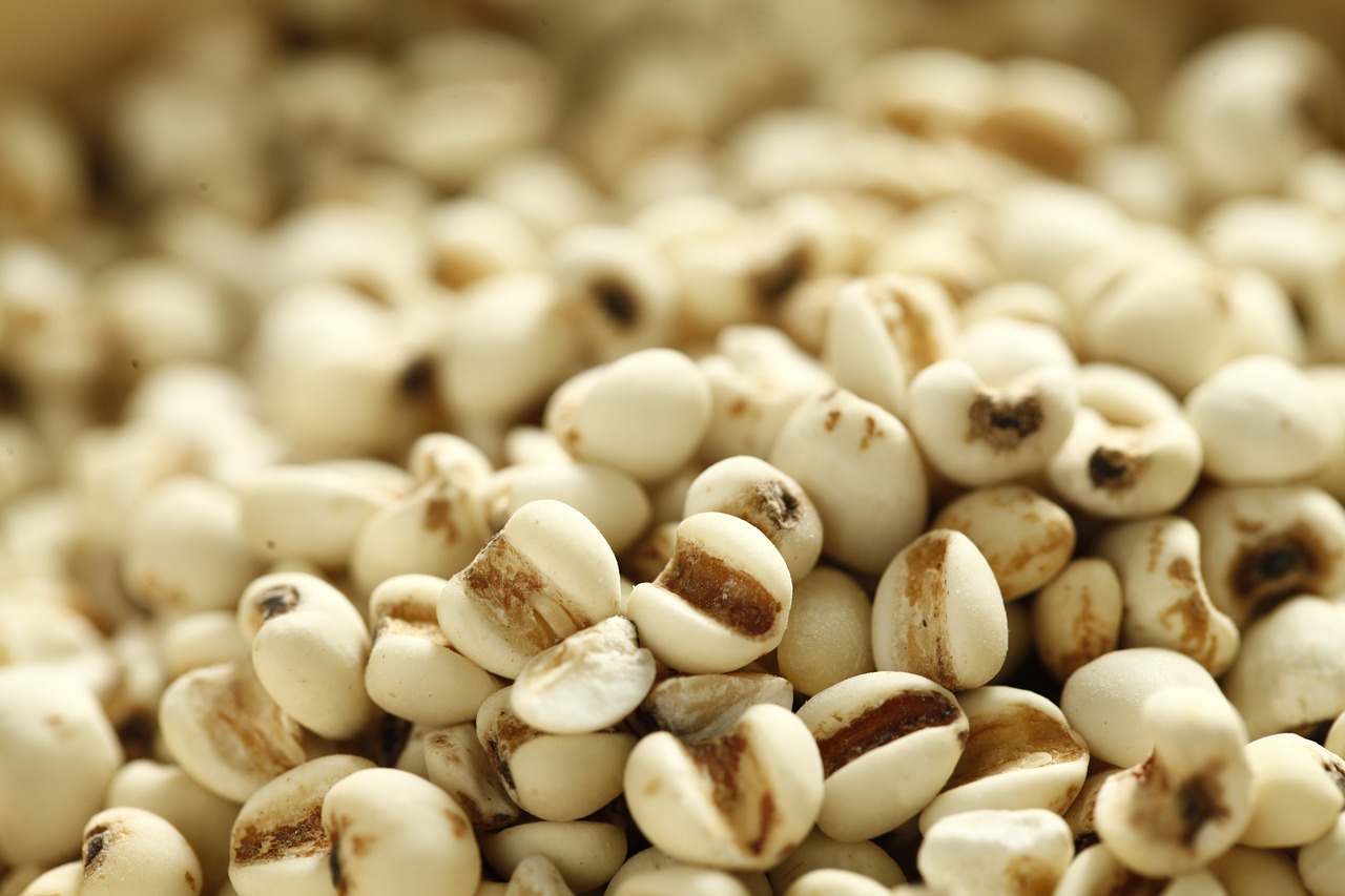 vegan barlotto Peruvian dishes, plant-based barlotto Peruvian dishes, vegetarian barlotto Peruvian dishes