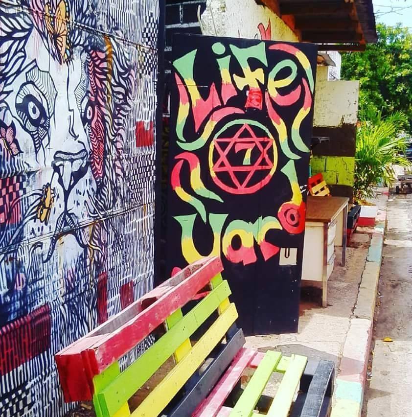 vegan restaurants in Kingston, vegetarian restaurants in Kingston, vegan in Kingston, vegetarian in Kingston, life yard