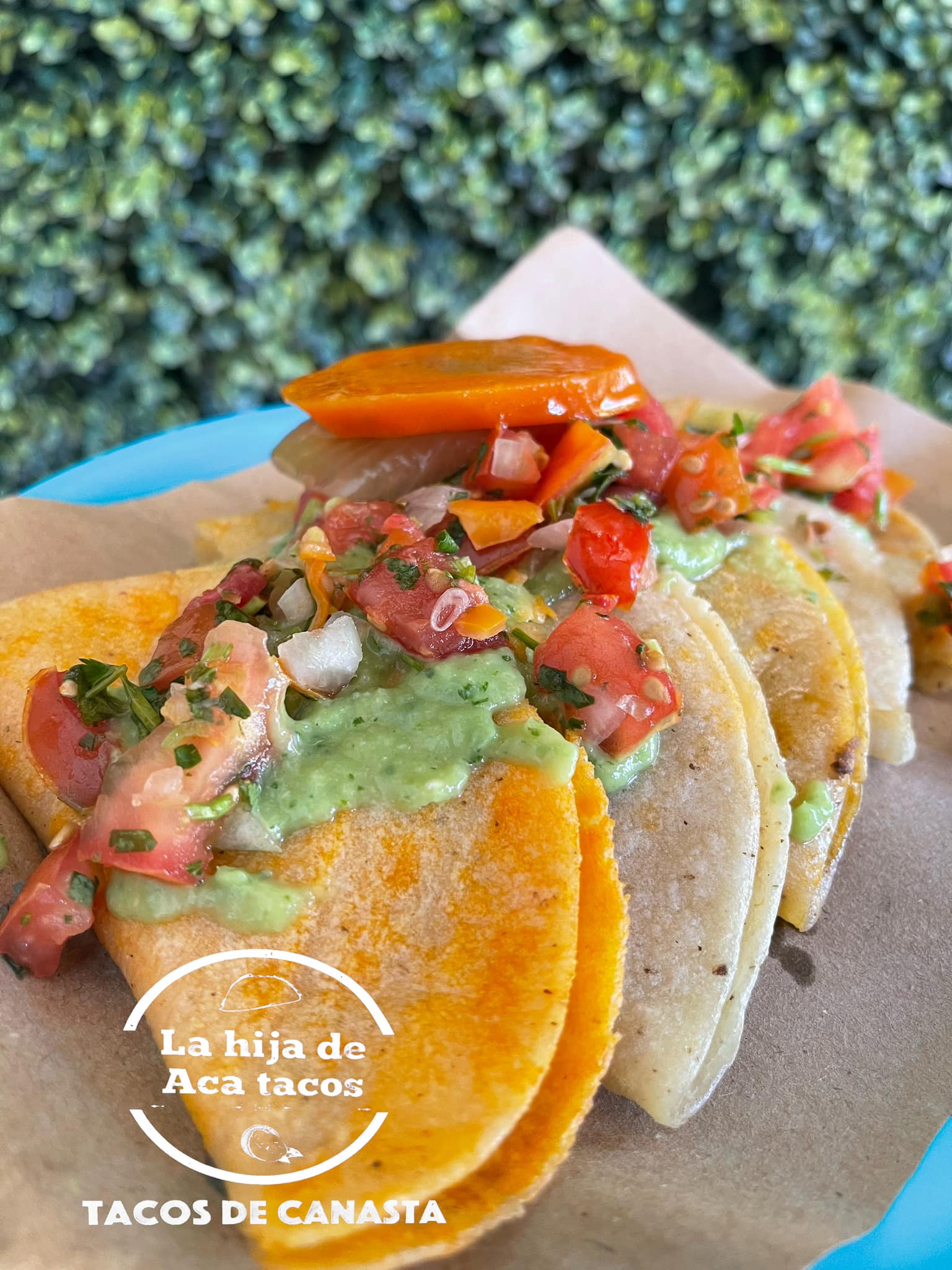 Restaurants In Tulum, best Restaurants In Tulum, Tulum food, where to eat in Tulum, vegetarian Restaurants In Tulum, vegan Restaurants In Tulum, Tulum restaurants