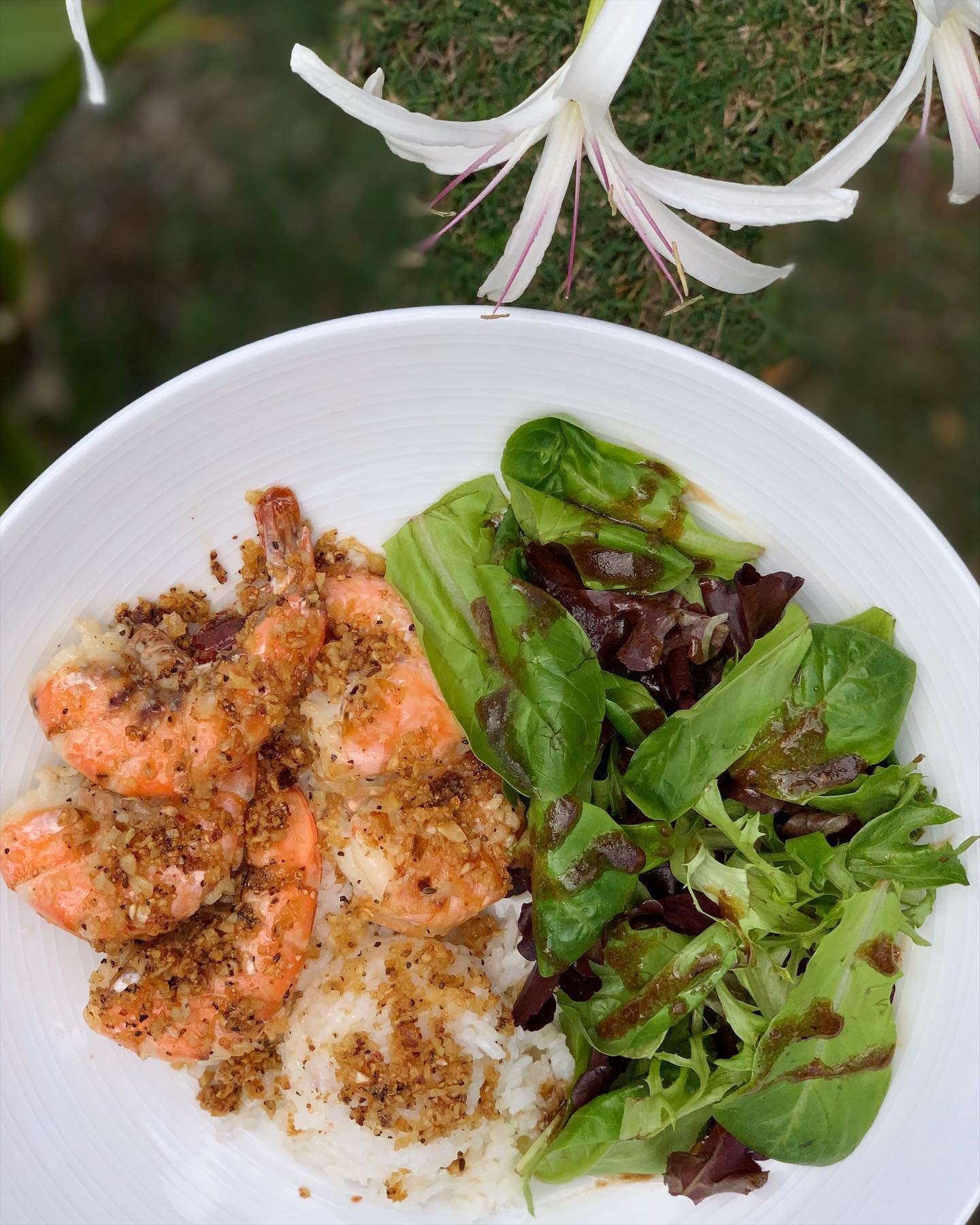 Bogart's Cafe, restaurants in Waikiki, restaurants in Waikiki, plant based restaurants in Waikiki, vegetarian restaurants in Waikiki, vegan restaurants in Waikiki, Waikiki food, where to eat in Waikiki