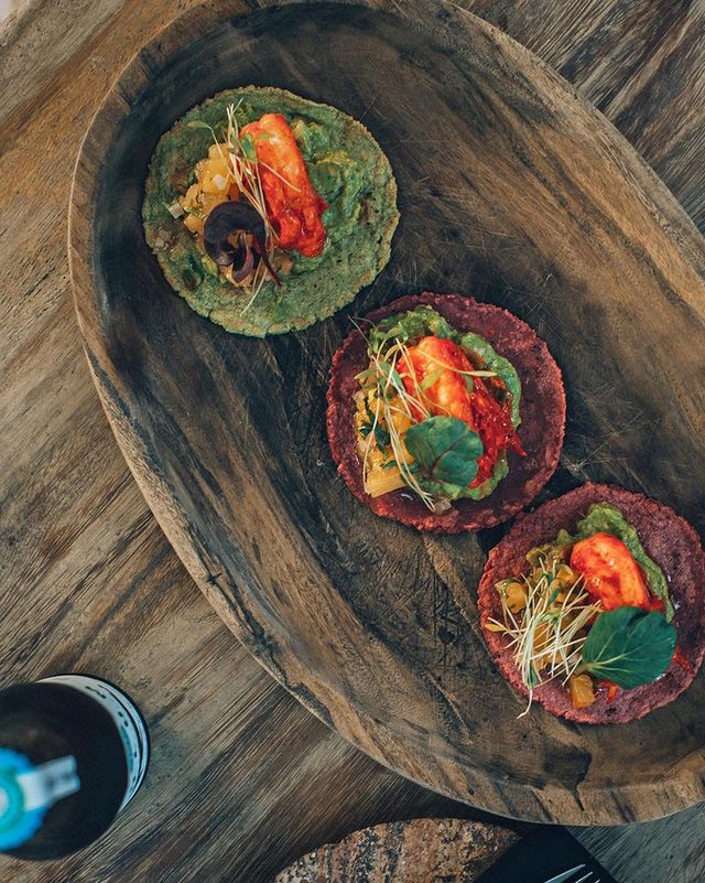 Restaurants In Tulum, best Restaurants In Tulum, Tulum food, where to eat in Tulum, vegetarian Restaurants In Tulum, vegan Restaurants In Tulum, Tulum restaurants