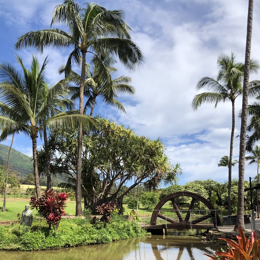 MAUI TROPICAL PLANTATION , restaurants in Wailuku, restaurants in Wailuku, plant based restaurants in Wailuku, vegetarian restaurants in Wailuku, vegan restaurants in Wailuku