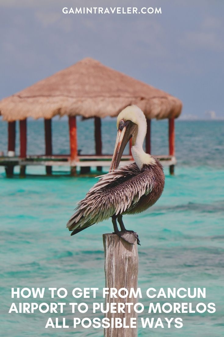 How To Get From Cancun Airport To Puerto Morelos - All Possible Ways, cheapest way from Cancun airport to Puerto Morelos, Cancun airport to Puerto Morelos, Cancun Airport Bus, Cancun Airport Bus to Puerto Morelos