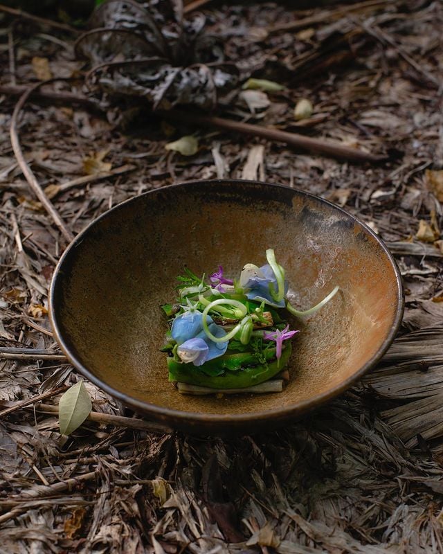 Restaurants In Tulum, best Restaurants In Tulum, Tulum food, where to eat in Tulum, vegetarian Restaurants In Tulum, vegan Restaurants In Tulum, Tulum restaurants