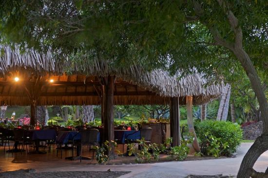 TAMA'A MAITAI , Bora Bora restaurants, restaurants in Bora Bora, plant based restaurants in Bora Bora, vegetarian restaurants in Bora Bora, vegan restaurants in Bora Bora, Bora Bora food, where to eat in Bora Bora, vegan in Bora bora, vegetarian in Bora Bora