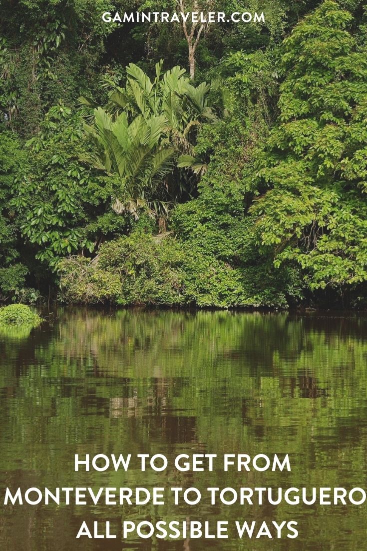 How To Get From Monteverde To Tortuguero - All Possible Ways, cheapest way from Monteverde to Tortuguero, Monteverde to Tortuguero, Monteverde to Tortuguero bus, Boat from Tortuguero to La Pavona, La Pavona to Cariari, Cariari to San Jose, San Jose to Cariari, Cariari to La Pavona, La Pavona to Tortuguero, Monteverde to San Jose Costa Rica