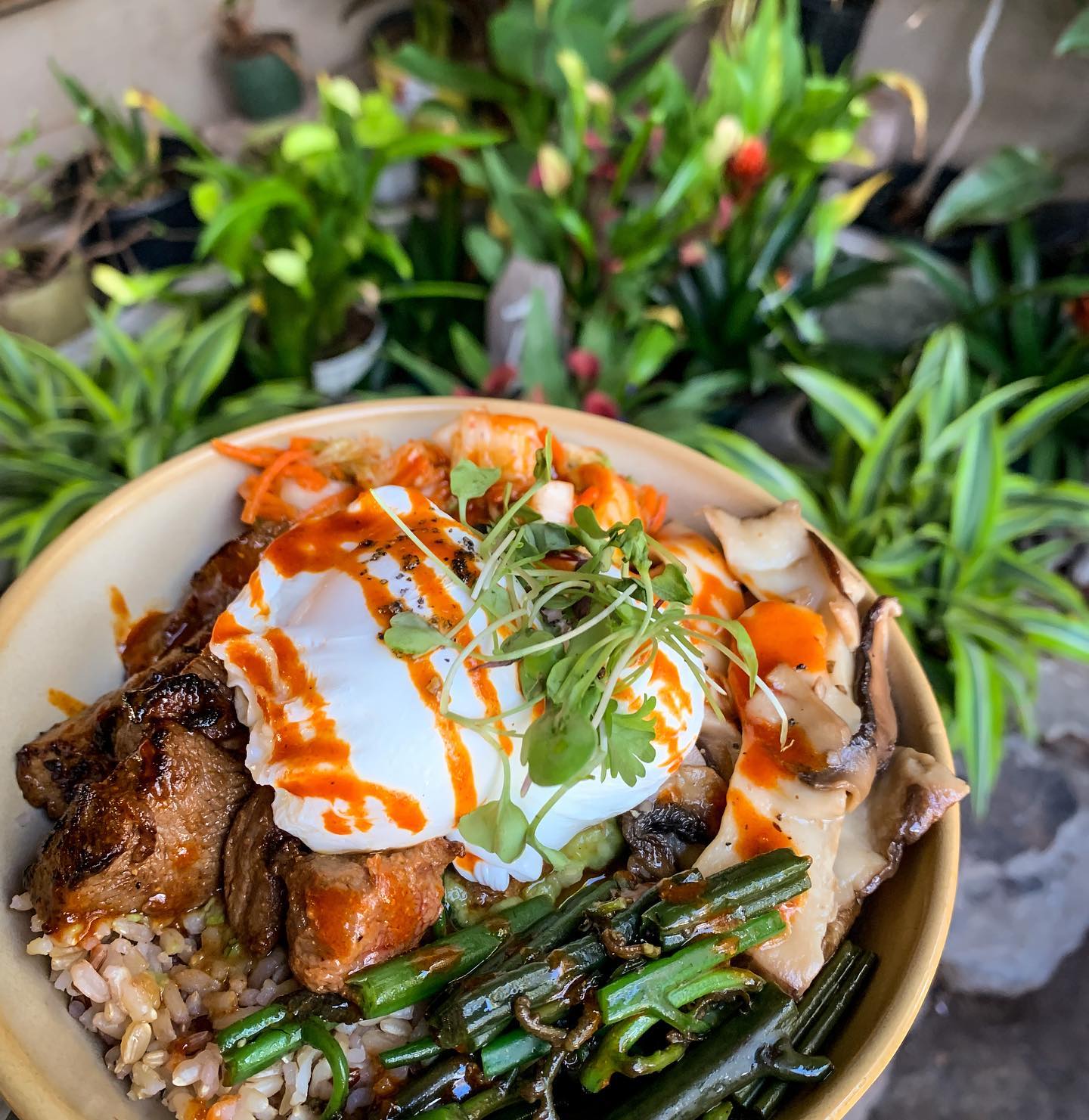 Nalu's South Shore Grill, Kihei restaurants, restaurants in Kihei, plant based restaurants in Kihei, vegetarian restaurants in Kihei, vegan restaurants in Kihei, Kihei food, where to eat in Kihei, vegan in Kihei, vegetarian in Kihei,  Kahala restaurants, restaurants in Kahala, plant based restaurants in Kahala, vegetarian restaurants in Kahala, vegan restaurants in Kahala, Kahala food, where to eat in Kahala, vegan in Kahala, vegetarian in Kahala