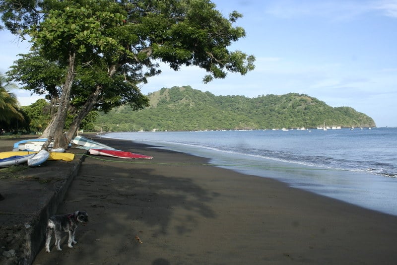 How To Get From Playas Del Coco To Liberia Airport - All Possible Ways, cheapest way from Playas Del Coco to Liberia Airport, Playas Del Coco to Liberia Airport, Playas Del Coco Costa Rica to Liberia Airport, Playas Del Coco to Liberia, Playas Del Coco costa rica to Liberia, Playas Del Coco to Liberia, Playas Del Coco to Liberia Airport bus