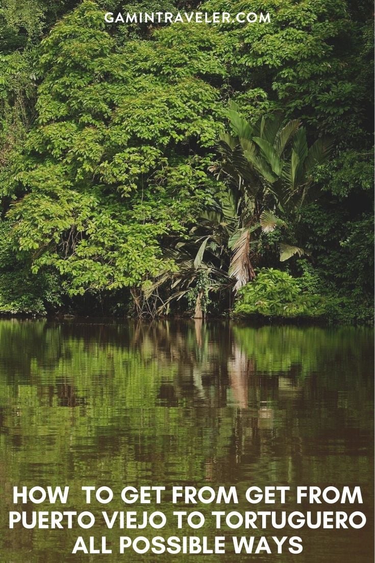 How To Get From Puerto Viejo to Tortuguero - All Possible Ways, cheapest way from Puerto Viejo to Tortuguero, Puerto Viejo to Tortuguero, Puerto Viejo costa rica to Tortuguero, Puerto Viejo to Tortuguero bus, Puerto Viejo to Tortuguero costa rica
