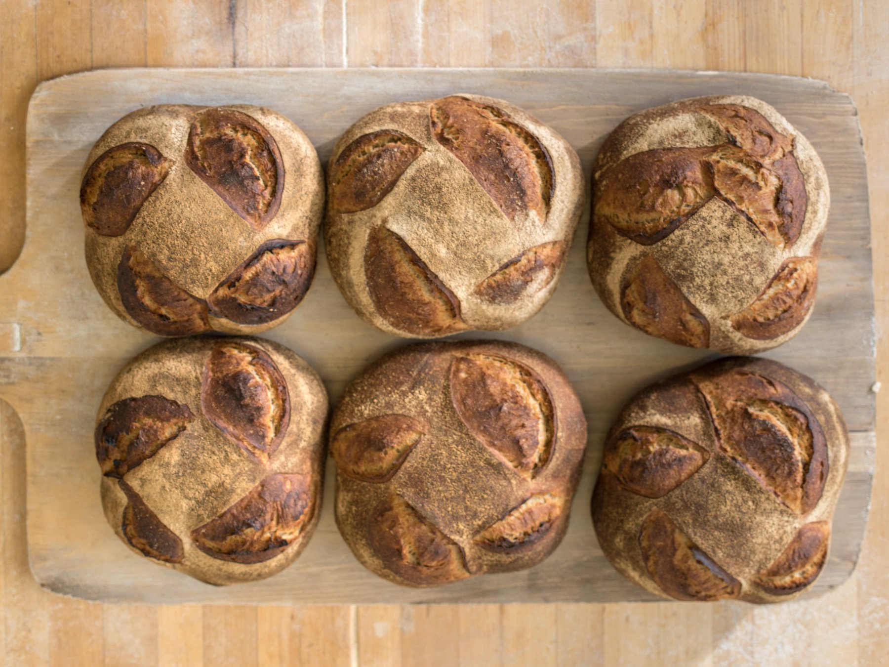 BREADHIVE BAKERY AND CAFE Buffalo, restaurants in Buffalo, Buffalo restaurants, plant based restaurants in Buffalo, vegetarian restaurants in Buffalo, vegan restaurants in Buffalo, Buffalo food, where to eat in Buffalo, vegan in Buffalo, vegetarian in Buffalo, restaurants in Buffalo, restaurants in Buffalo, where to eat in Buffalo, where to eat Buffalo