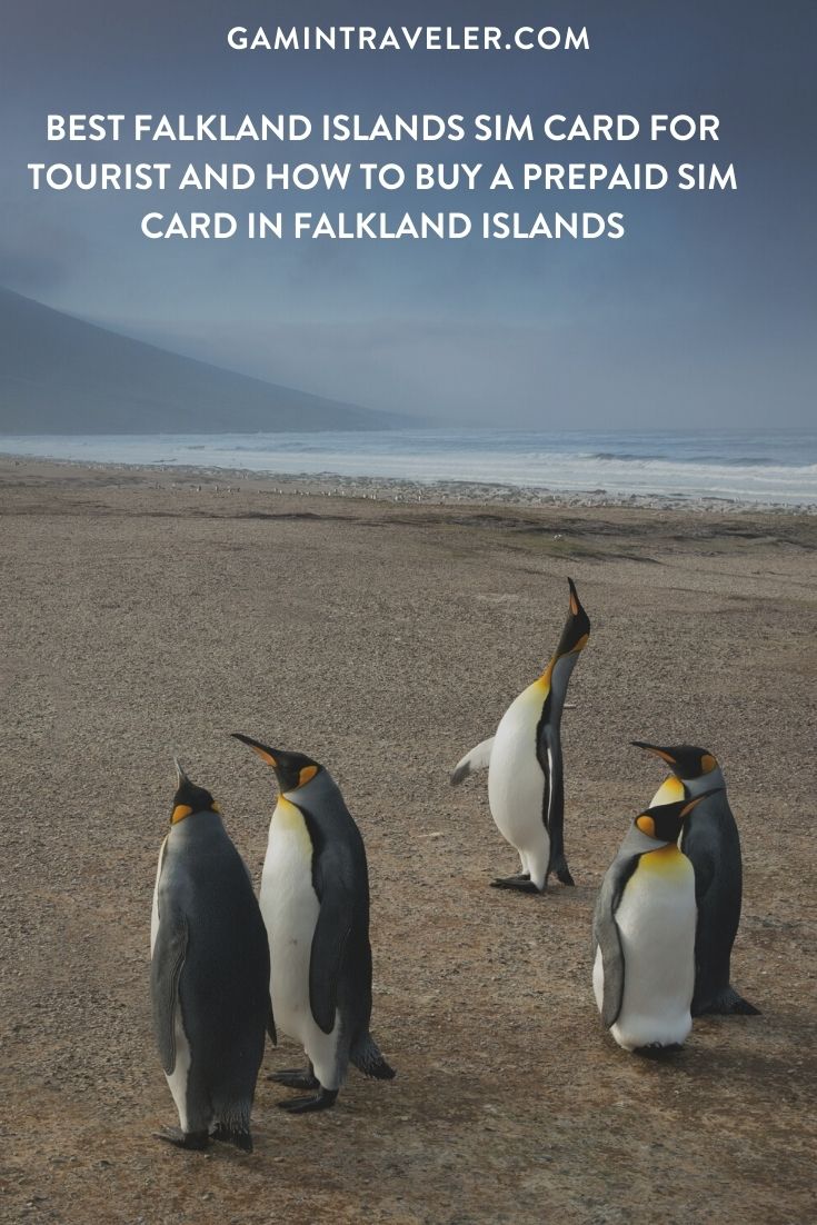 sim card Falkland Islands airport, cheapest sim card in Falkland Islands, Sure South Island Sim Card, Sure Falkland Islands sim card, best tourist sim card Falkland Islands, Falkland Islands sim card for tourists, best sim card for Falkland Islands, Falkland Islands prepaid sim card, Falkland Islands sim card for tourist, tourist sim card Falkland Islands, prepaid sim card Falkland Islands, Falkland Islands tourist sim card, sim card in Falkland Islands, sim card Falkland Islands, Falkland Islands sim card airport, Falkland Islands sim card, flaklands sim card Prepaid Falkland Islands Sim Card, Falkland Islands data sim card, Sure Falkland Islands