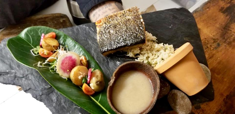 Tanino's, Puerto Morelos restaurants, restaurants in Puerto Morelos, plant based restaurants in Puerto Morelos, vegetarian restaurants in Puerto Morelos, vegan restaurants in Puerto Morelos, Puerto Morelos food, where to eat in Puerto Morelos, vegan in Puerto Morelos, vegetarian in Puerto Morelos