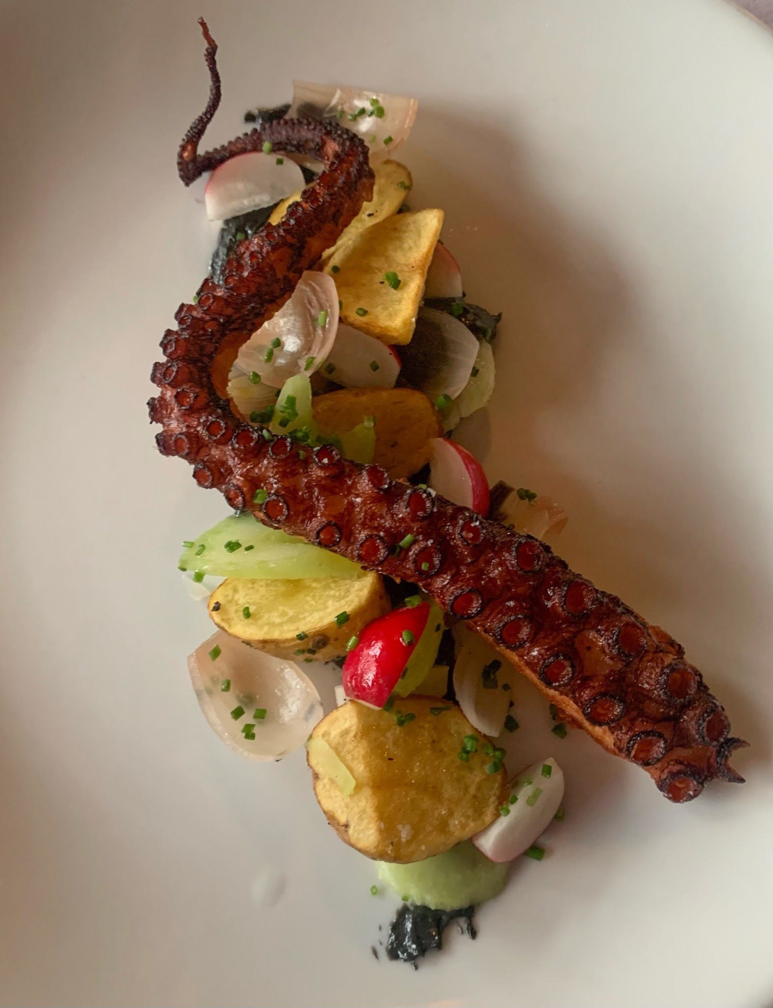 Lombardo Ristorante, restaurants in Buffalo, Buffalo restaurants, plant based restaurants in Buffalo, vegetarian restaurants in Buffalo, vegan restaurants in Buffalo, Buffalo food, where to eat in Buffalo, vegan in Buffalo, vegetarian in Buffalo, restaurants in Buffalo, restaurants in Buffalo, where to eat in Buffalo, where to eat Buffalo