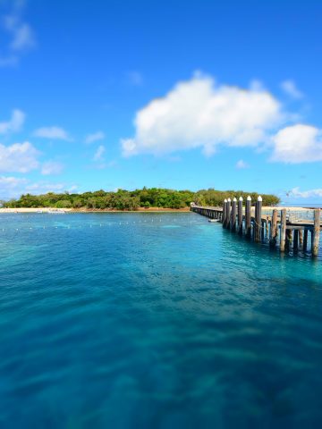 How To Get From Cairns Airport To Palm Cove - All Possible Ways, cheapest way from Cairns airport to Palm Cove, cheapest way from Cairns airport to Palm Cove, Cairns airport to Palm Cove, Cairns Bus Airport to Palm Cove, shuttle bus Cairns airport to Palm Cove, Cairns to Palm Cove