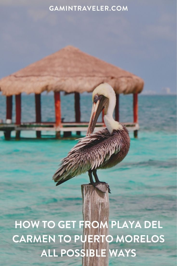 How To Get From Playa Del Carmen to Puerto Morelos Best Way 1 How To Get From Playa Del Carmen to Puerto Morelos - All Possible Ways, cheapest way from Playa Del Carmen to Puerto Morelos, Playa Del Carmen to Puerto Morelos, ado bus Playa Del Carmen to Puerto Morelos, shared van Playa del carmen to Puerto Morelos