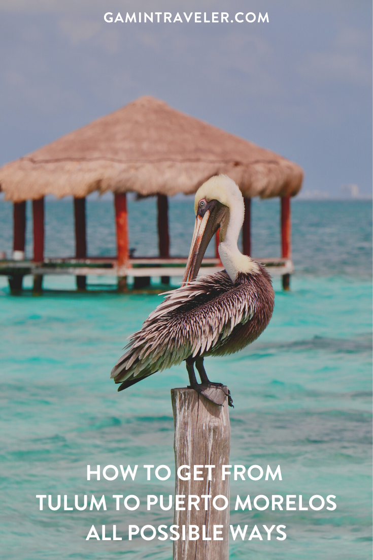 How To Get From Tulum to Puerto Morelos - All Possible Ways, cheapest way from Tulum to Puerto Morelos, Tulum to Puerto Morelos, ado bus Tulum to Puerto Morelos, shared van Tulum to Puerto Morelos, Colectivo Tulum to Puerto Morelos, Uber from Tulum to Puerto Morelos, taxi from Tulum to Puerto Morelos