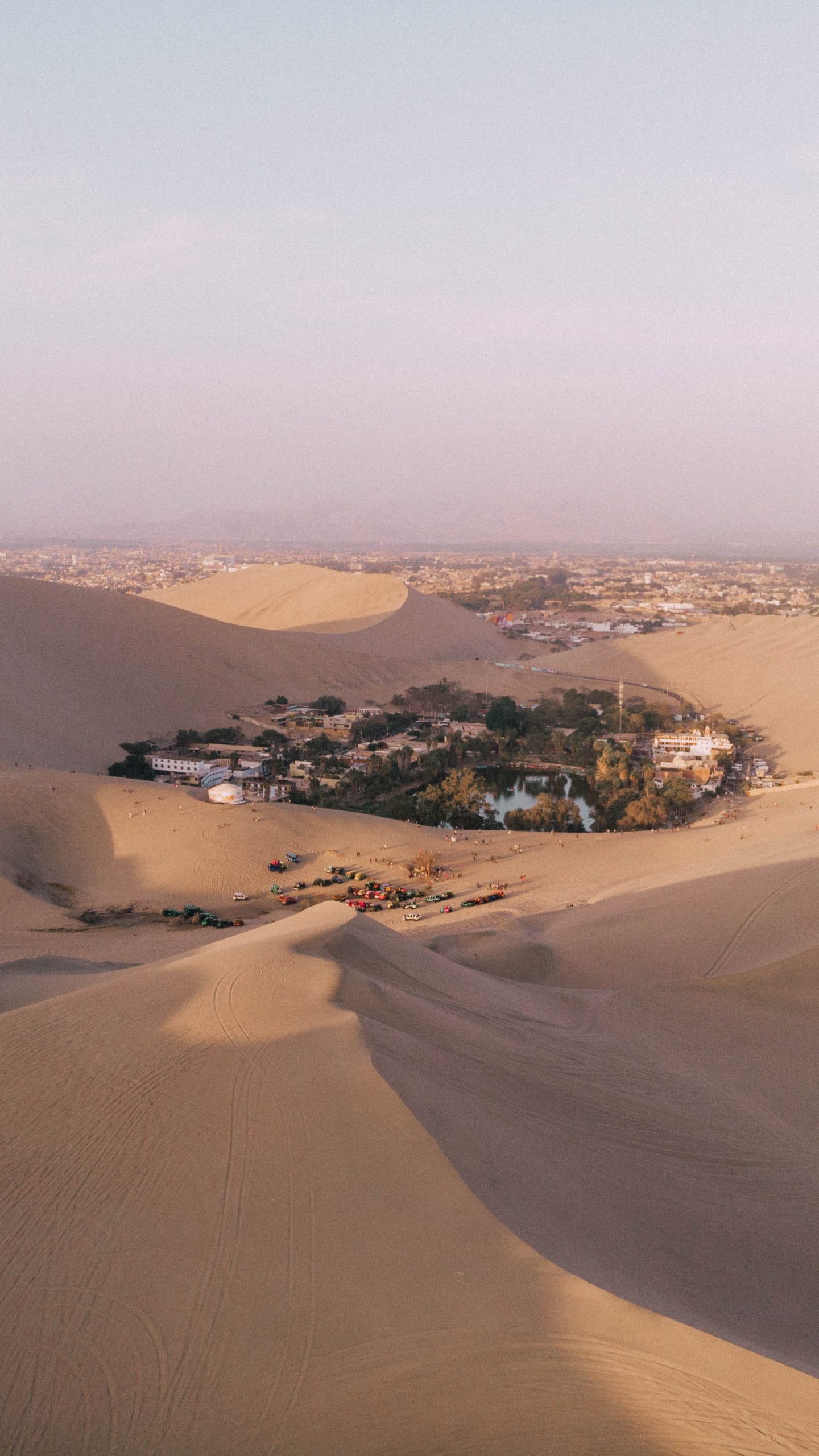 How To Get From Arequipa To Paracas (Arequipa to Ica) Best Way 14 How To Get From Arequipa To Paracas (Arequipa to Ica) By Bus - All Possible Ways, cheapest way from Arequipa To Paracas, Arequipa to Ica ,cheapest way from Arequipa To Paracas, bus from Arequipa to Ica, bus from Arequipa To Paracas, Ica to Paracas, Bus Ica to Paracas sandboarding in Huacachina, buggy in Huacachina, pisco tour in Huacachina, day tour Lima to Huacachina, Pisco tour Paracas and Ica