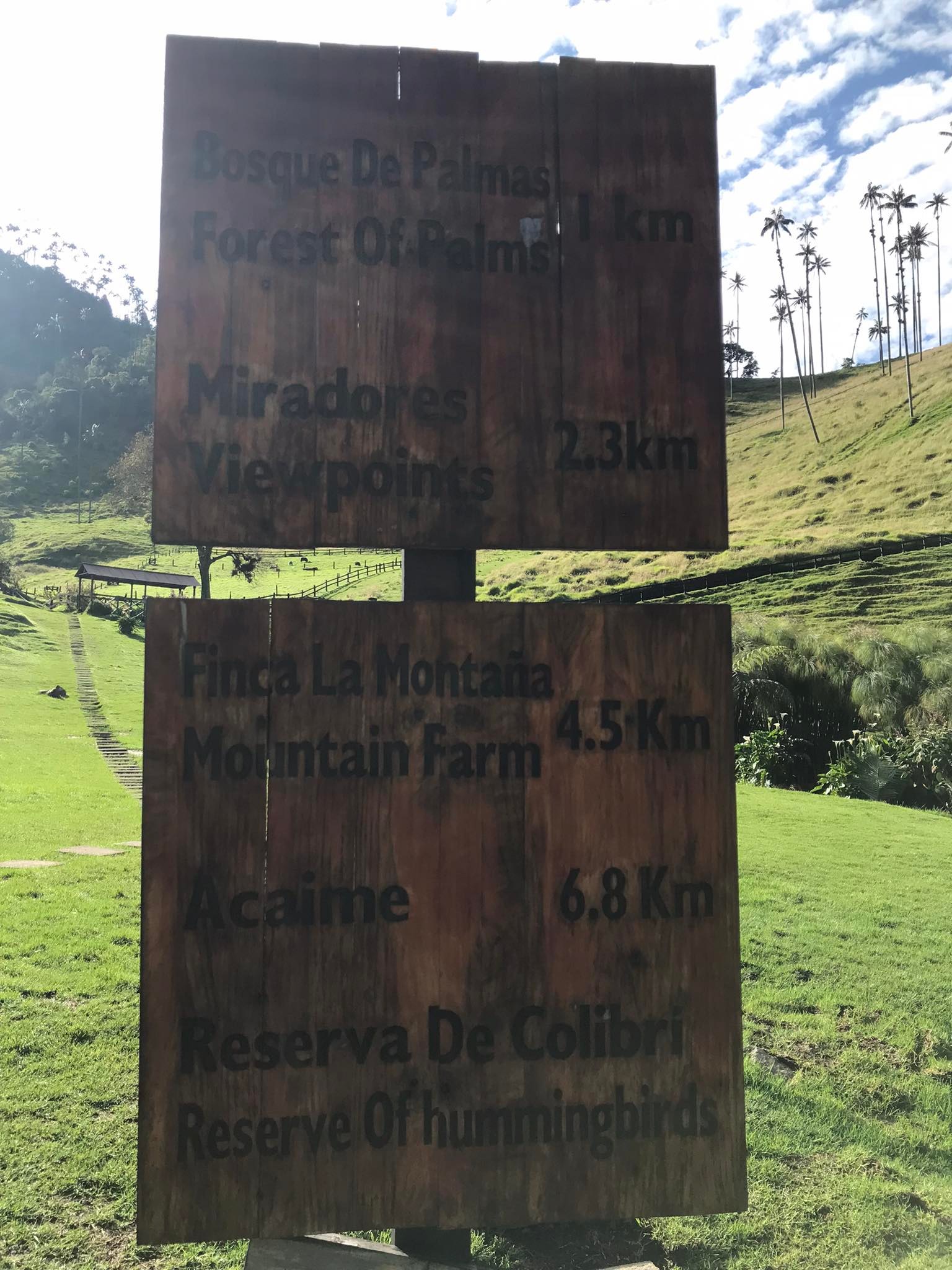 How To Get From Pereira to Salento - All Possible Ways, cheapest way from Pereira to Salento, Pereira to Salento bus, Pereira to Salento, bus schedule Pereira to Salento, Pereira to Salento, Expreso Alcala Pereira to Salento