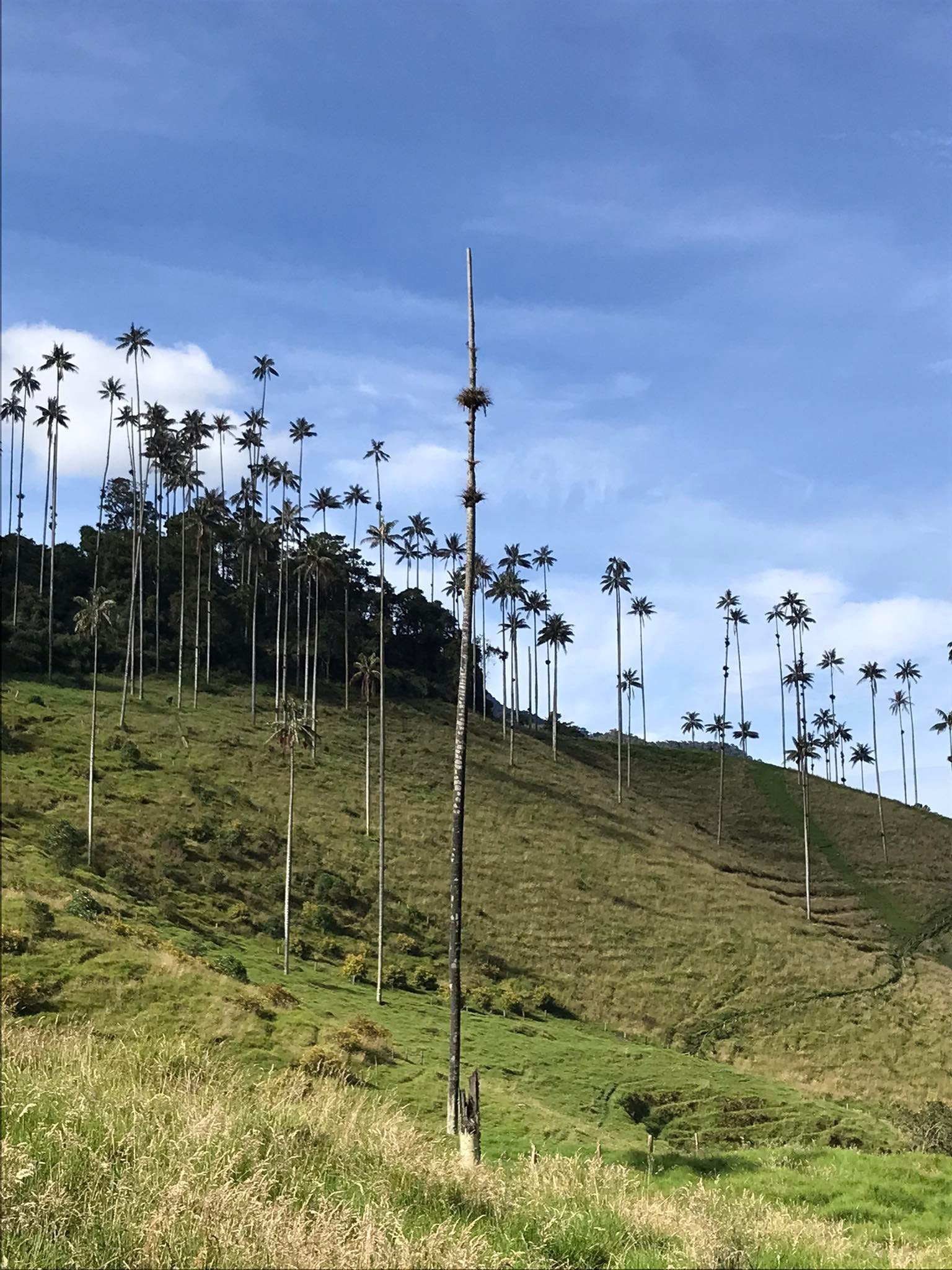 salento, 10 Most Underrated Travel Experiences in the World