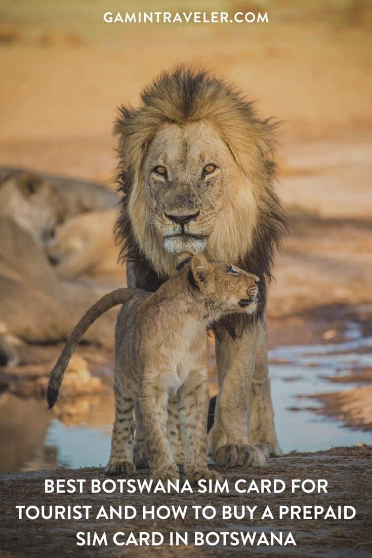 sim card Botswana airport, cheapest sim card in Botswana, BTC Mobile Botswana sim card, Mascom Wireless Botswana sim card, Orange Botswana sim card, Botswanan sim card, best tourist sim card Botswana, Botswana sim card for tourists, best sim card for Botswana, Botswana prepaid sim card, Botswana sim card for tourist, tourist sim card Botswana, prepaid sim card Botswana, Botswana tourist sim card, sim card in Botswana, sim card Botswana, Botswana sim card airport, Botswana sim card, Prepaid Botswana Sim Card, Botswana data sim card, Botswanan data sim card, a Botswana data SIM card