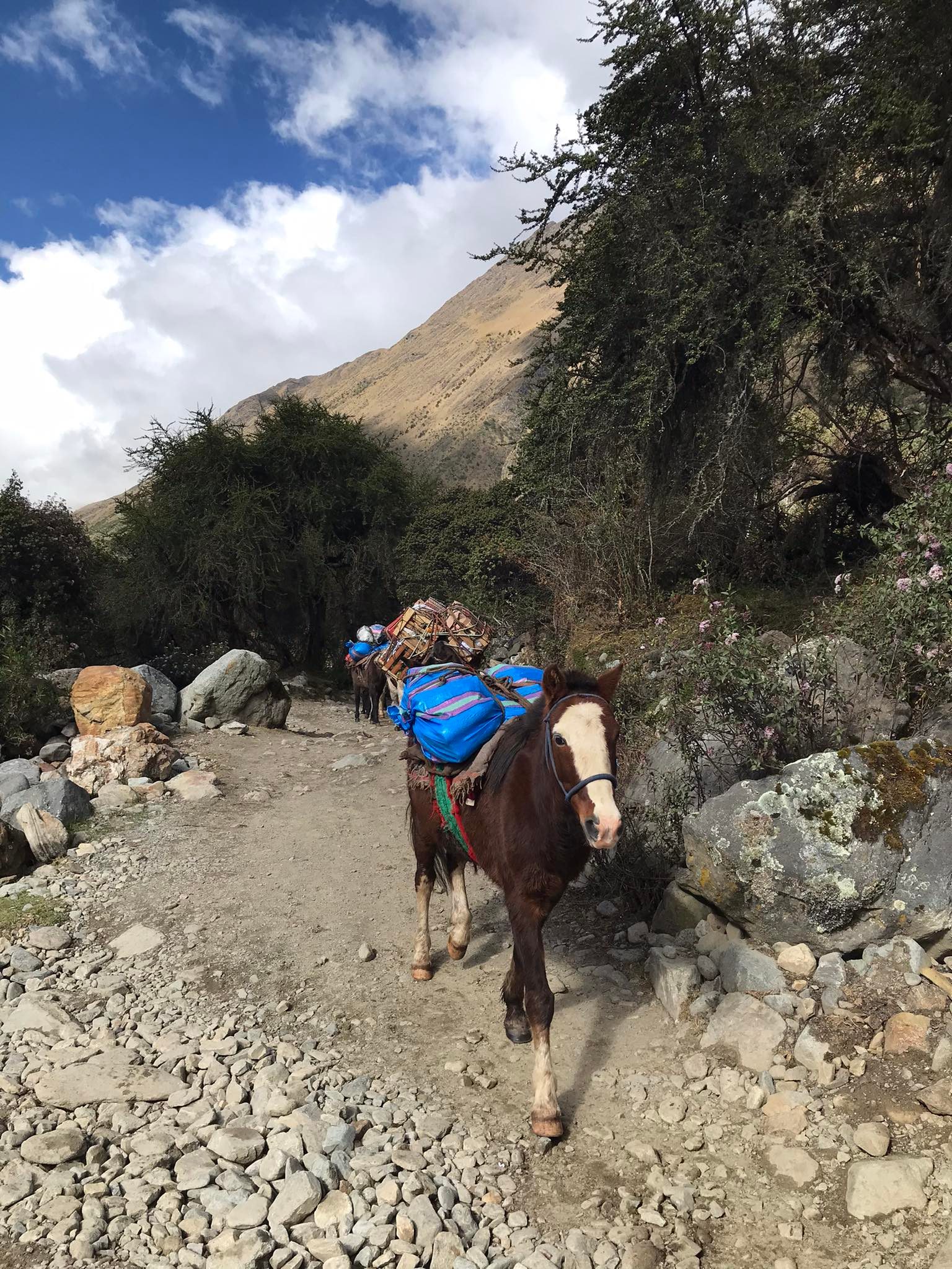 Horse Ride Humantay Lake, How To Get From Cusco To Humantay Lake (Travel Guide)