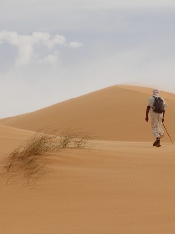 Malitel Mauritania sim card, Orange Mauritania sim card, Telecel Mauritania sim card, best tourist sim card Mauritania, Mauritania sim card for tourists, best sim card for Mauritania, Mauritania prepaid sim card, Mauritania sim card for tourist, tourist sim card Mauritania, prepaid sim card Mauritania, Mauritania tourist sim card, sim card in Mauritania, sim card Mauritania, Mauritania sim card airport, Mauritania sim card, Prepaid Mauritania Sim Card, Mauritania data sim card, Mauritania data sim card, Mauritania sim card, a Mauritania data SIM card, Mauritanian sim card