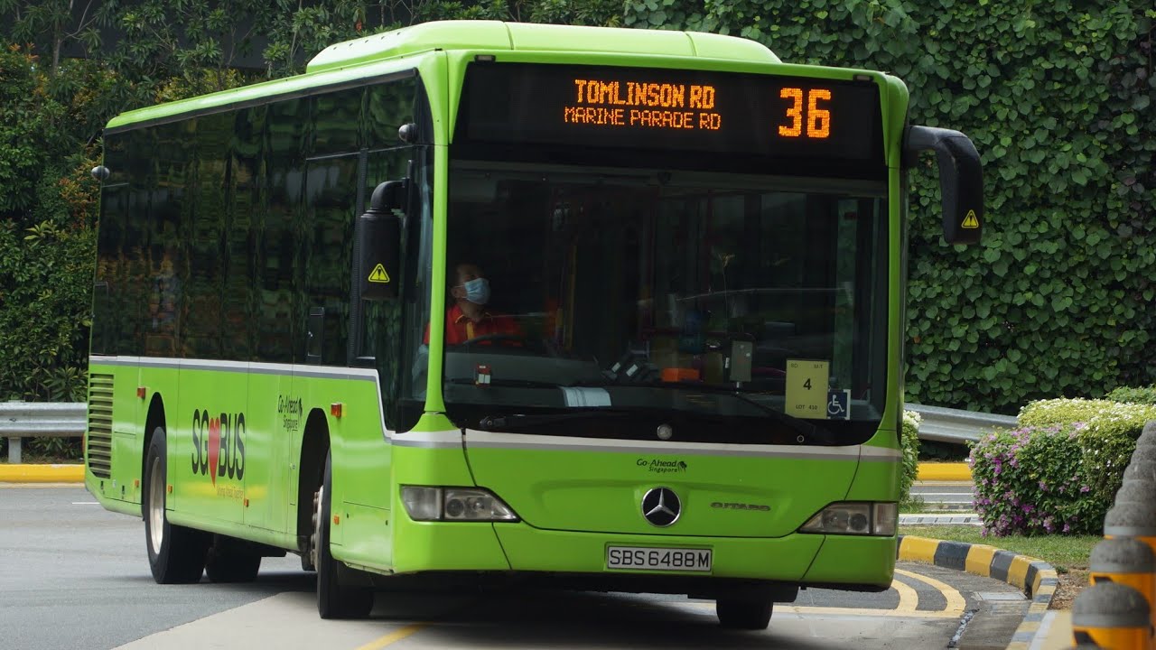 Bus Number 36 Singapore airport to Bugis,How To Get From Singapore Airport To Bugis - All Possible Ways, cheapest way from Singapore airport to Bugis, Singapore airport to Bugis, Changi airport to Bugis, Singapore Bus Airport, bus from Singapore airport to Bugis, taxi Singapore airport to Bugis, Uber/Grab Singapore airport to Bugis, Singapore airport to Bugis by bus, Singapore airport to Bugis, MRT Singapore airport to Bugis, bus fare Singapore airport to Bugis, shuttle bus Singapore Airport To Bugis, EZ Link Card, Metro Map Changi airport, Metro Map Singapore airport